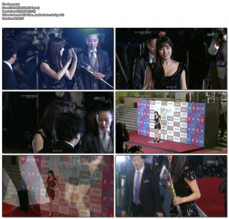 청룡영화상 수지컷 12113001.jpg