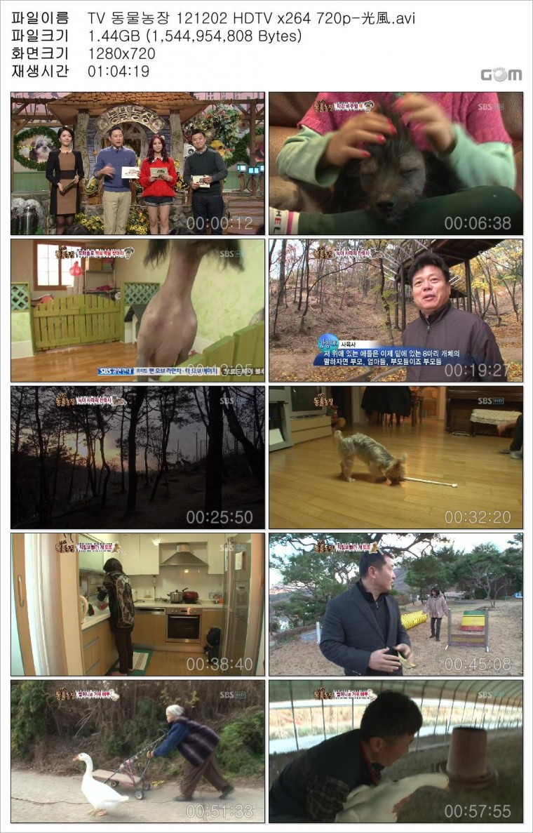 TV 동물농장 121202 HDTV x264 720p-光風.avi.jpg