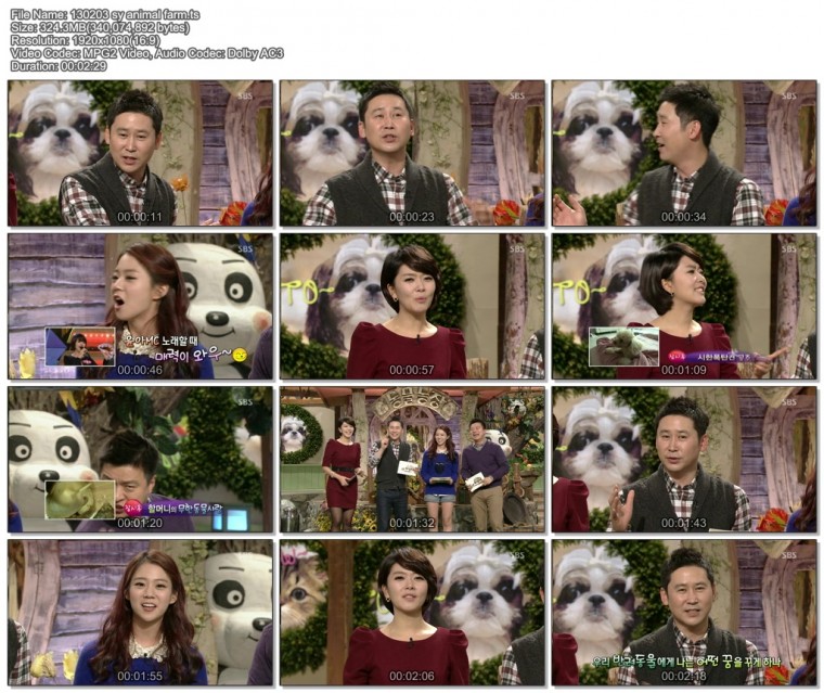 130203 sy animal farm.ts.jpg