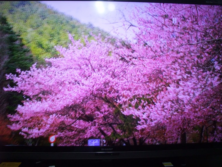 DSCF0959.JPG