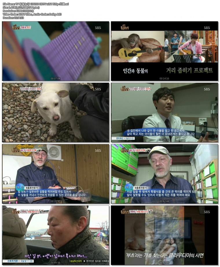 TV 동물농장 130210 HDTV x264 720p-光風.avi.jpg