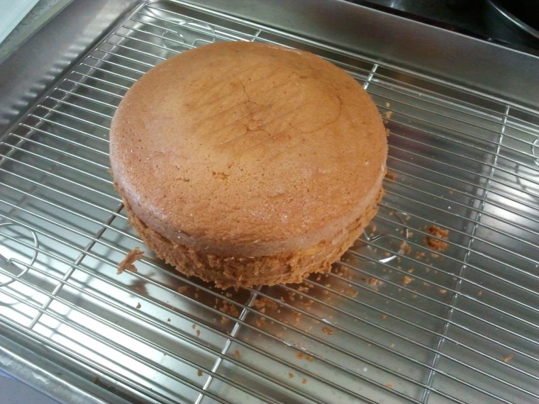 2013-02-10 08.52.55.jpg