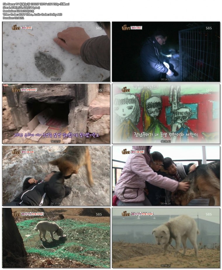 TV 동물농장 130217 HDTV x264 720p-光風.avi.jpg