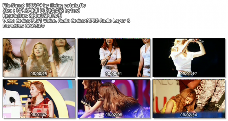 130309_by_flying_petals_flv.png