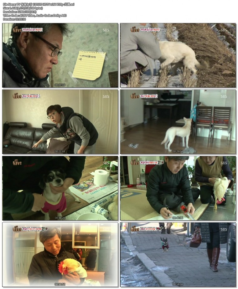 TV 동물농장 130120 HDTV x264 720p-光風.avi.jpg