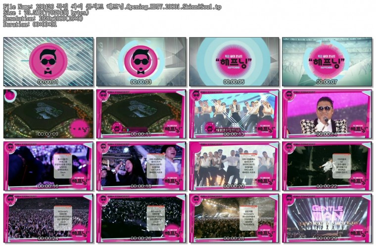 130426 특집 싸이 콘서트 해프닝.Opening.HDTV.1080i.SkinniSoul.tp.jpg