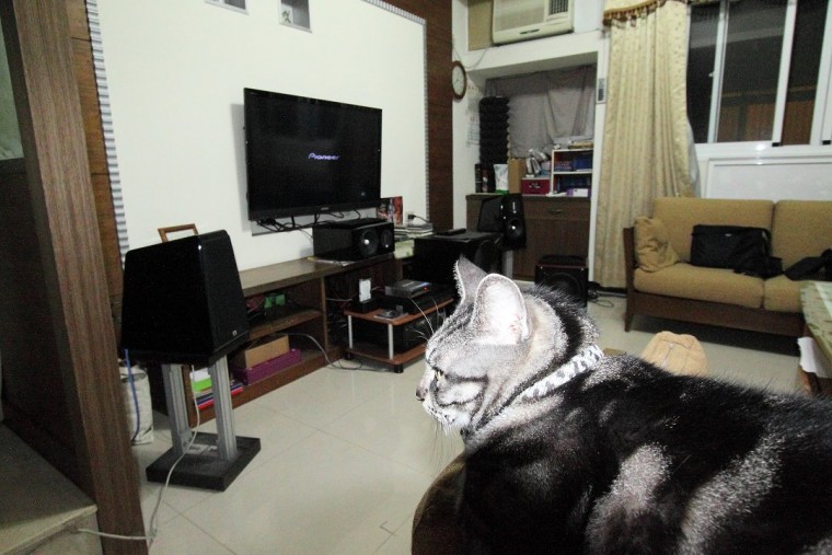 DPP_0012.jpg