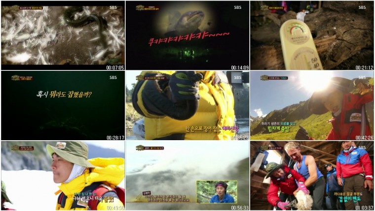 정글의 법칙 in 뉴질랜드.E59.130503.HDTV.X264.720p-Baros.avi.jpg