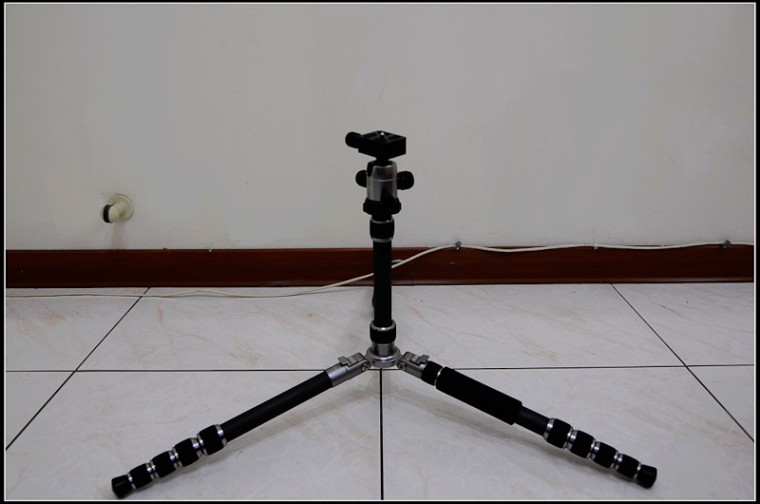 nikon-5196.jpg