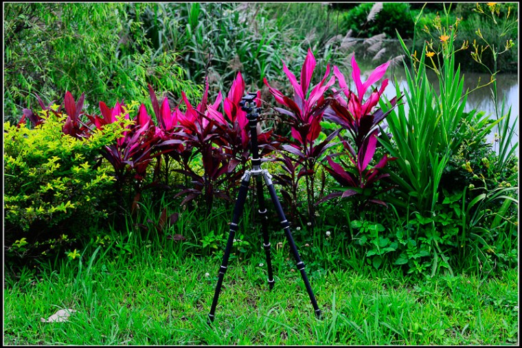 nikon-4006.jpg
