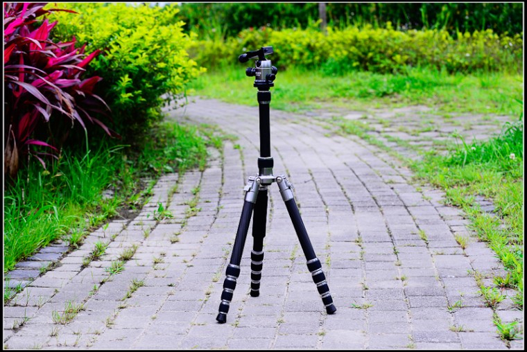 nikon-4010.jpg