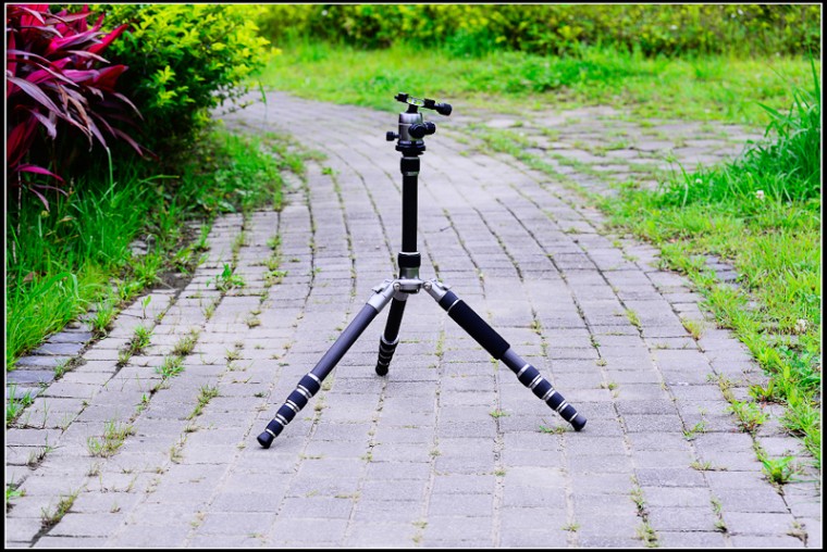 nikon-4011.jpg
