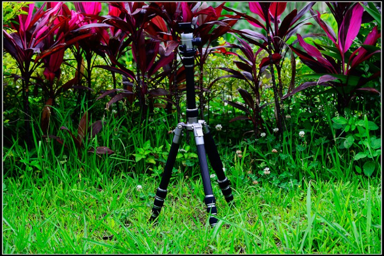 nikon-4004.jpg