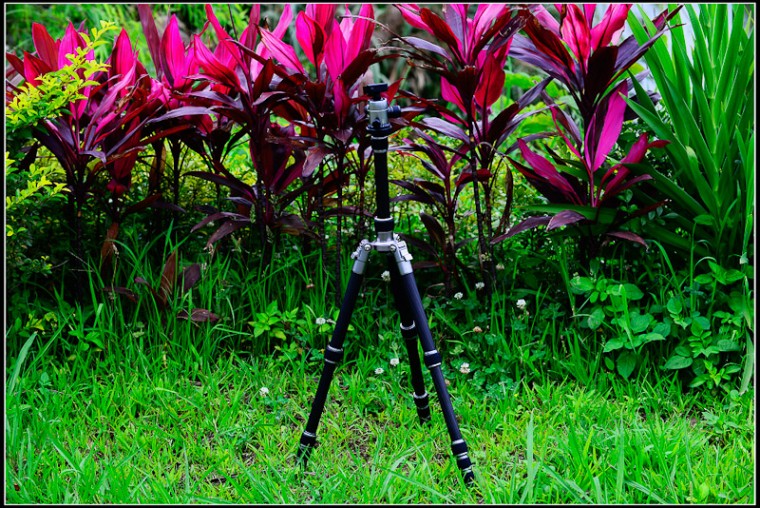 nikon-4005.jpg