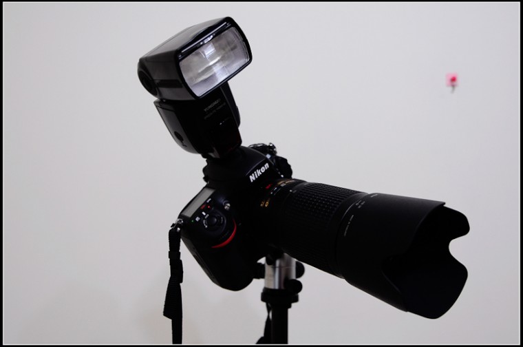 nikon-5097.jpg