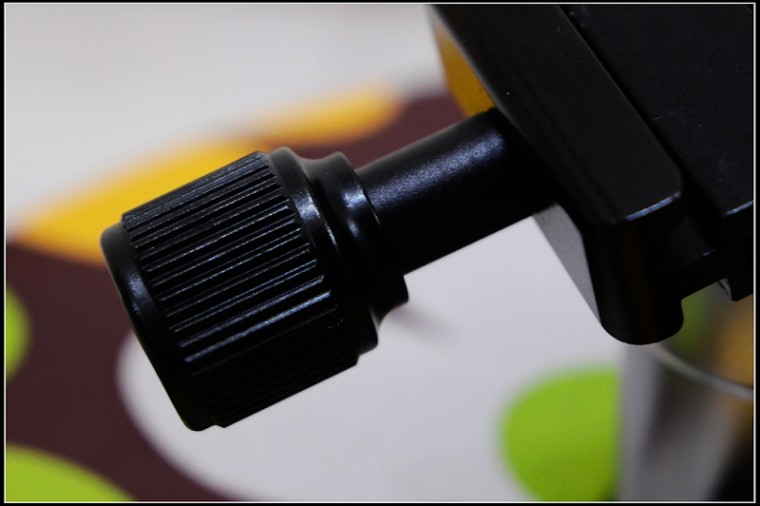 nikon-5138.jpg
