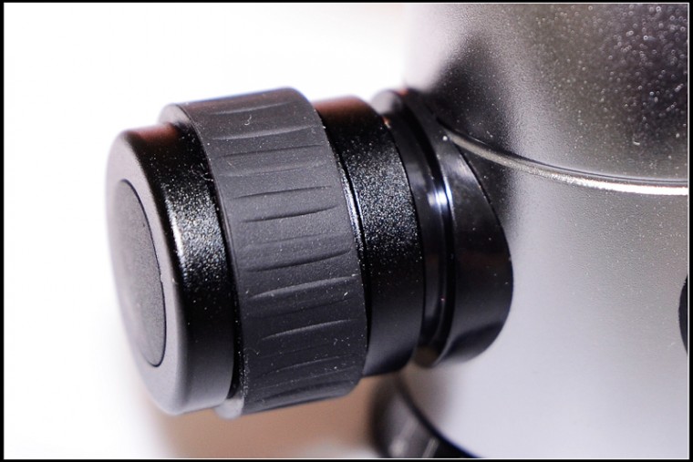 nikon-5154.jpg
