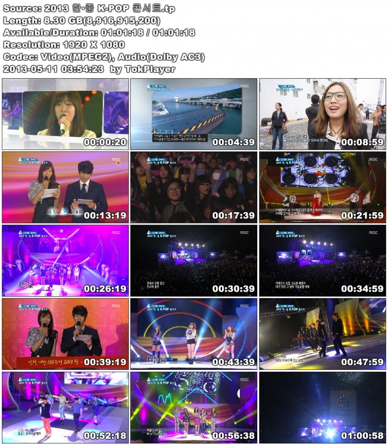 2013 한·중 K-POP 콘서트.tp.jpg