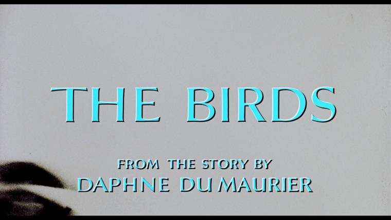 鳥(希區考克) (1).jpg