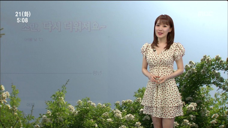 2013-05-21(화)MBC 오전5시뉴스_이현승.ts_20130524_173731.809.jpg