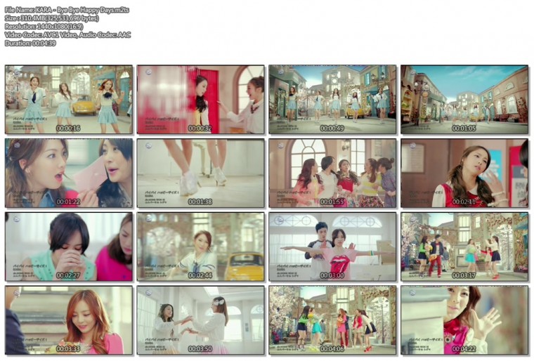 KARA - Bye Bye Happy Days.m2ts.jpg