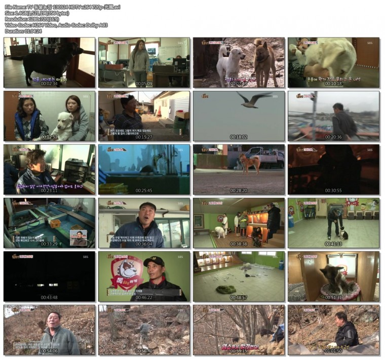 TV 동물농장 130324 HDTV x264 720p-光風.avi.jpg