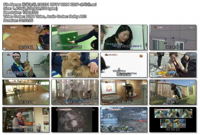 동물농장.130331 HDTV H264 720P-송지은.avi.jpg
