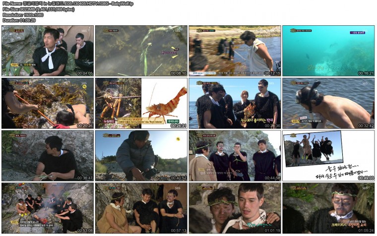 정글의법칙 in 뉴질랜드.E05.130405.HDTV.1080i - BabyWolf.tp.jpg