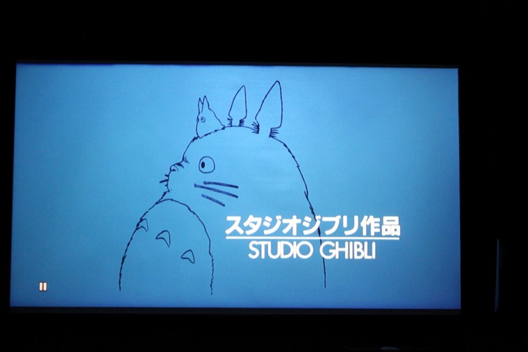 IMG_2649 (Medium).JPG