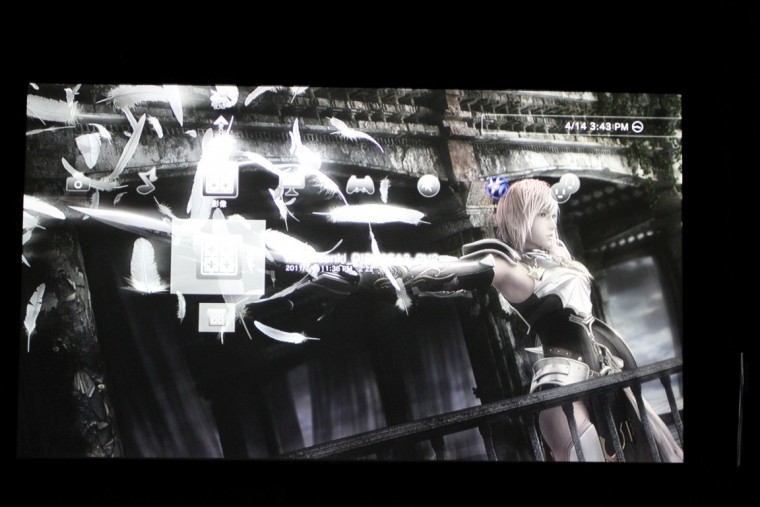 IMG_2652 (Medium).JPG