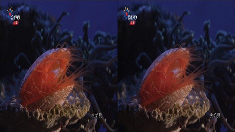 20130707_0029_CH12_公視 HD_3D台灣 Part 1.ts_snapshot_16.20_[2013.07.07_15.49.05].jpg