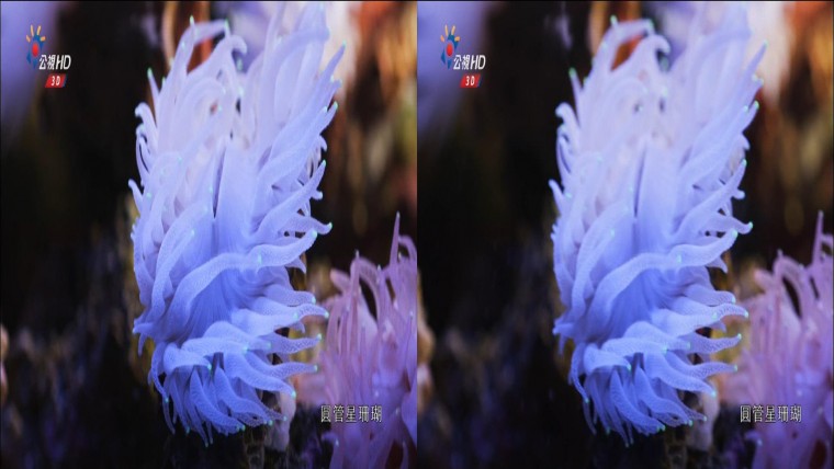 20130707_0029_CH12_公視 HD_3D台灣 Part 1.ts_snapshot_17.38_[2013.07.07_15.49.32].jpg