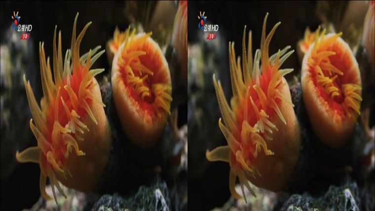 20130707_0029_CH12_公視 HD_3D台灣 Part 1.ts_snapshot_01.16_[2013.07.07_15.48.04].jpg