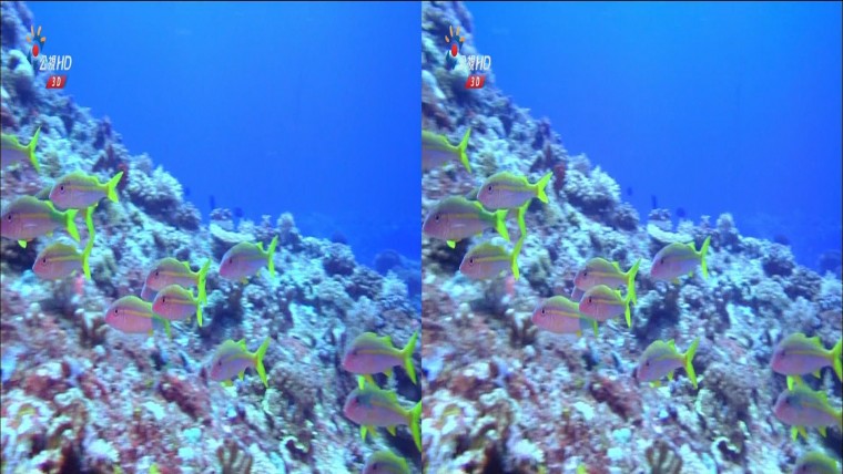 20130707_0029_CH12_公視 HD_3D台灣 Part 1.ts_snapshot_06.06_[2013.07.07_15.48.27].jpg