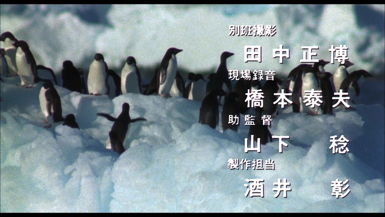 南極物語(03).jpg