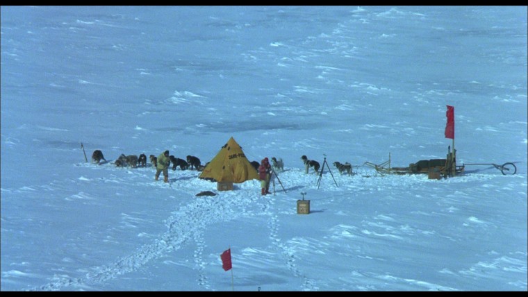 南極物語(04).jpg