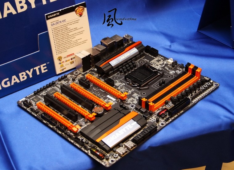 GZ8706.jpg
