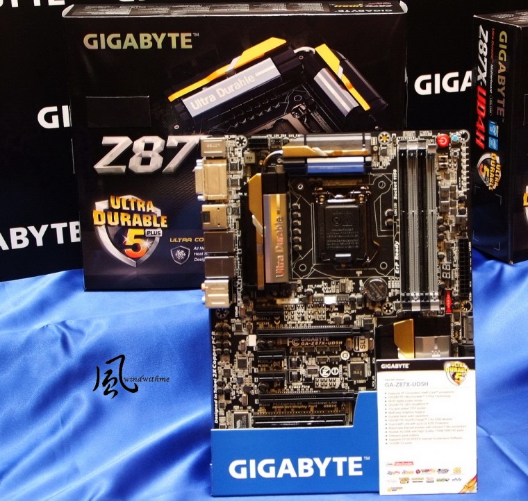 GZ8713.jpg