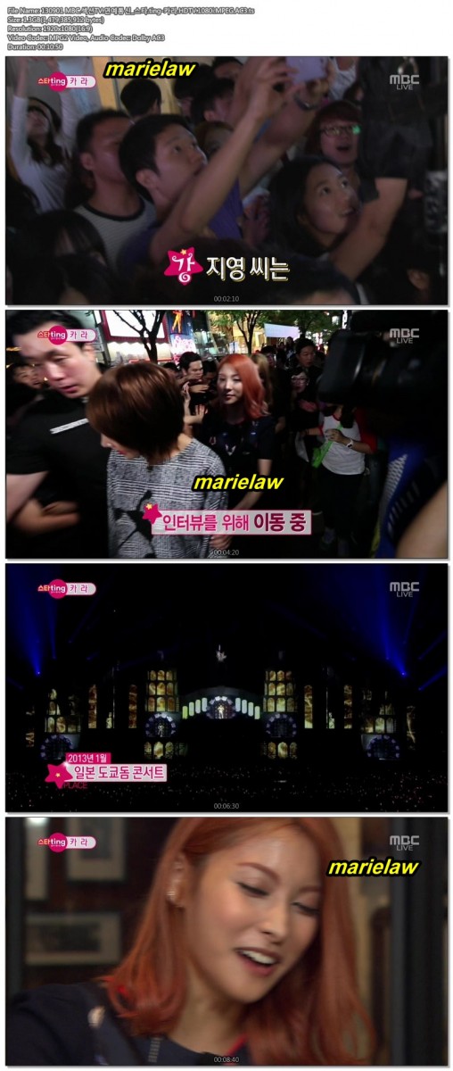 複製 -Section.TV.Ent.News.E690.130901.Kara.CutA.jpg