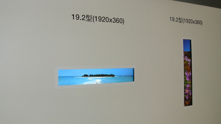 DSC_4823.JPG
