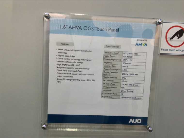 AUO_21.JPG