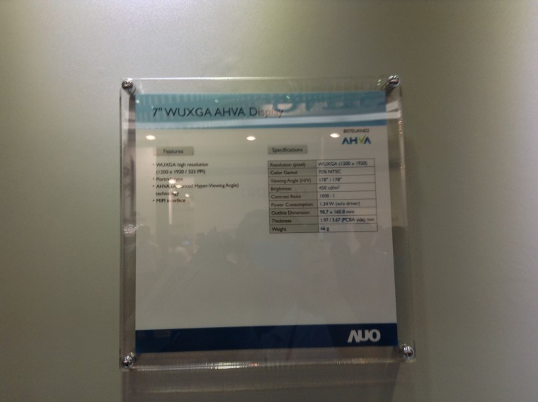 AUO_43.JPG