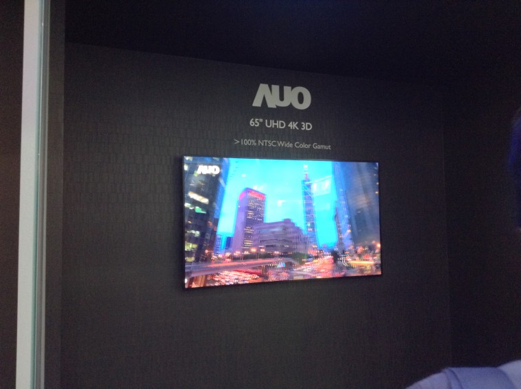 AUO_95.JPG