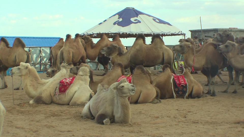 inner mogolia 1080i 18Mbps[(001071)16-45-34].JPG