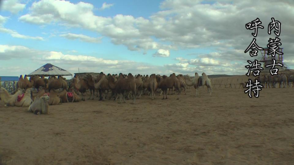 inner mogolia 1080i 18Mbps[(001139)16-45-45].JPG