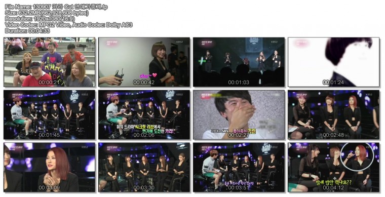 130907 카라 Cut 연예가중계.tp.jpg