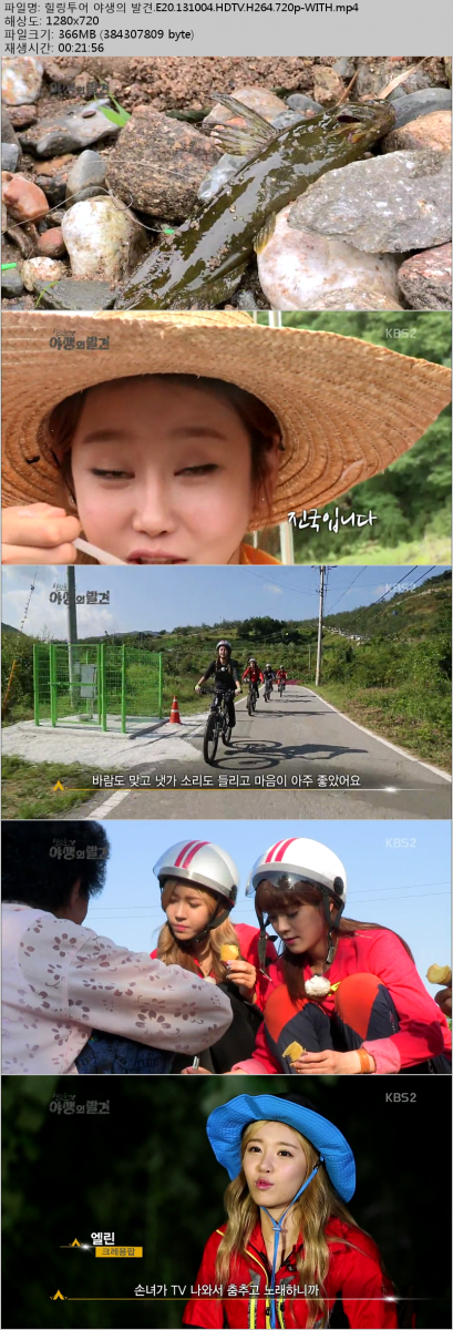 힐링투어 야생의 발견.E20.131004.HDTV.H264.720p-WITH.png