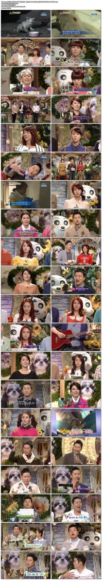 110731~130818 SBS TV 동물농장 - 한승연 MC Cut 100회 출연.720P.HDTV.X264.AAC-KARA.jpg