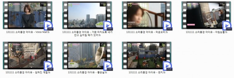 131111 피크닉라이브 소리풍경 아이유 무대 cut.jpg