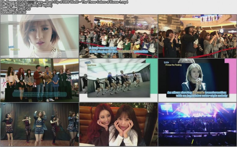 131115 T-ara - Short Clip of KBS World ~ The Three Colors of Korea-1.jpg